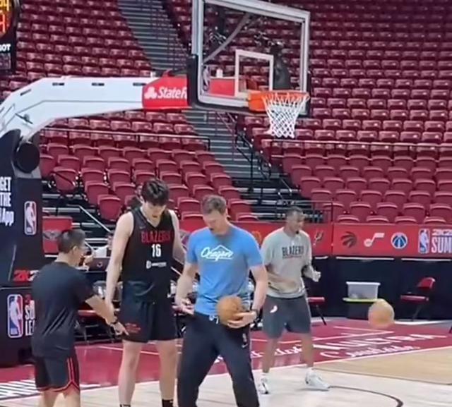 战森林狼的 战森林狼的